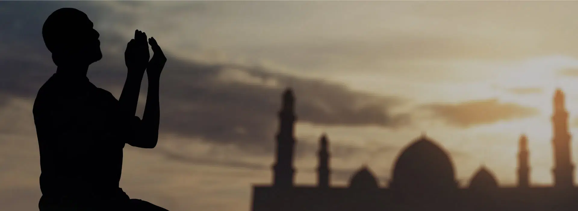 banner-2